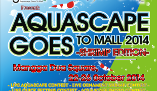 Aquascape Goes To Mall 2014