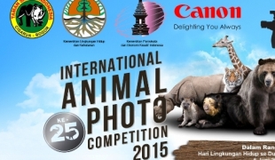 International Animal Photo Competition (IAPC) 2015