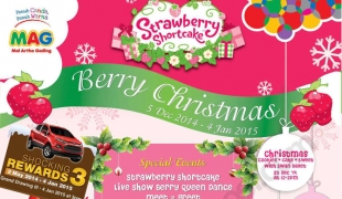 Strawberry Shortcake “Berry Christmas”