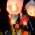 Padan Lantern Night Run Ini Didakannya Pelepasan Ribuan Lampion Oleh Peserta Setelah Berhasil Melewati Garis Finish