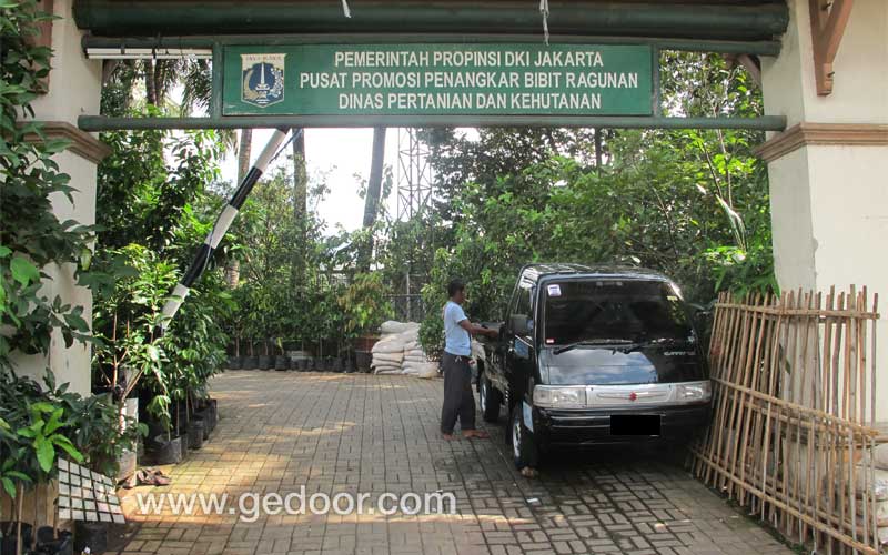 Kios Tanaman Buah Depan Ragunan