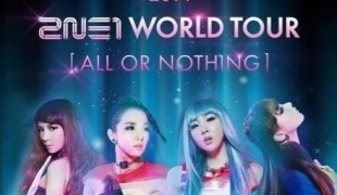 2NE1 “All Or Nothing” World Tour 2014