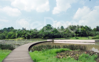 Danau Dora, Tujuan Wisata Edukatif Di Pinggiran Jakarta