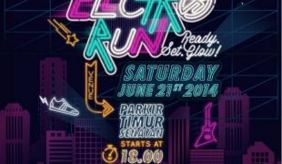 Electro Run 2014