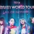 2NE1 “All Or Nothing” World Tour 2014