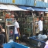 Ikan Hias Murah Dan Unik Di Pasar Jatinegara