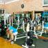 New Body Aerobic & Fitness Center Sehat Dan Bugar Ala New Body Fitness