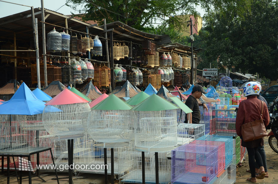 Aneka Sangkar Burung Dari Pasar Pramuka