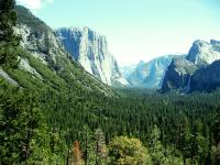 Yosemite yang tak terlupakan
